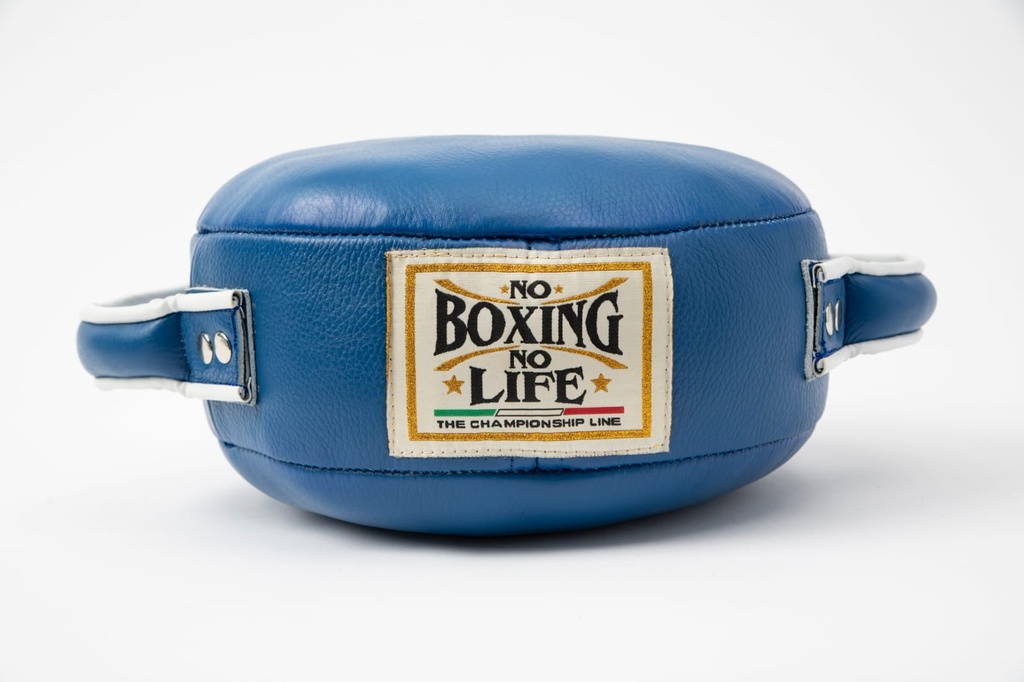 BOXING SHIELD
