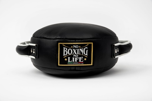BOXING SHIELD
